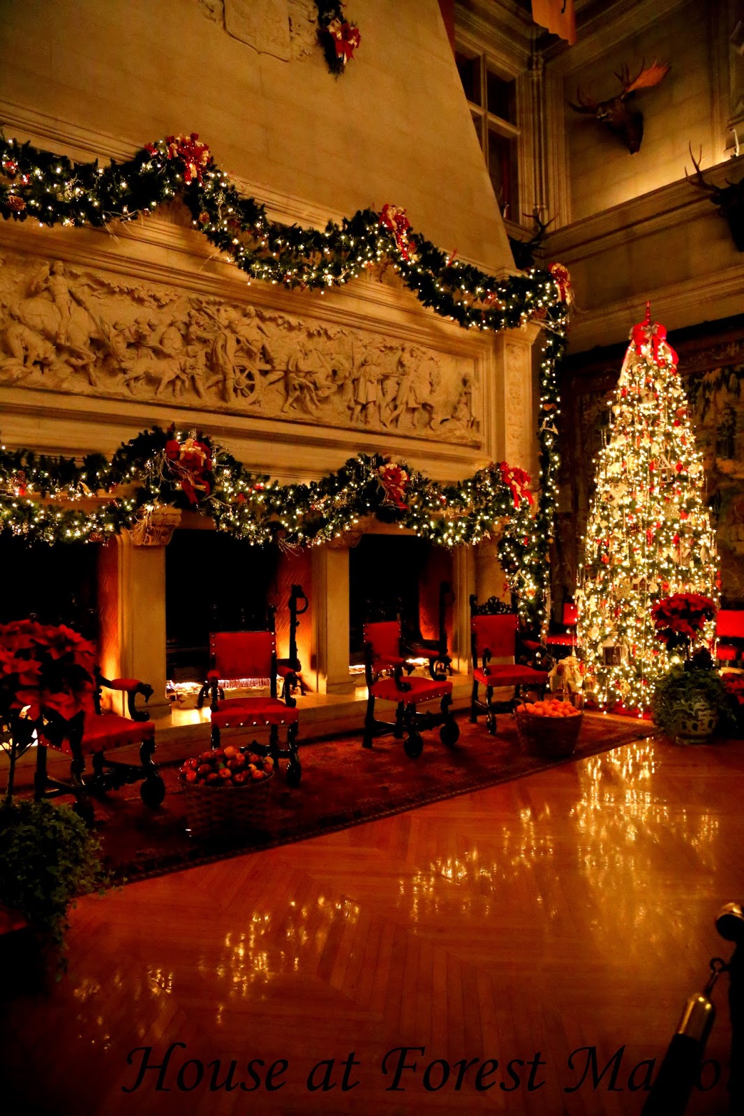 Candlelight Forest Vislokasin candlelight-forest-vislokasin