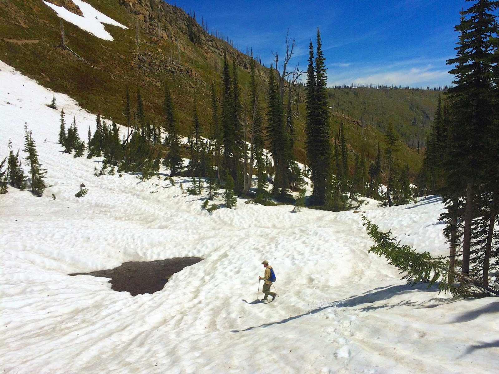 Rambling Hemlock Around Twin Lakes in the Jewel Basin