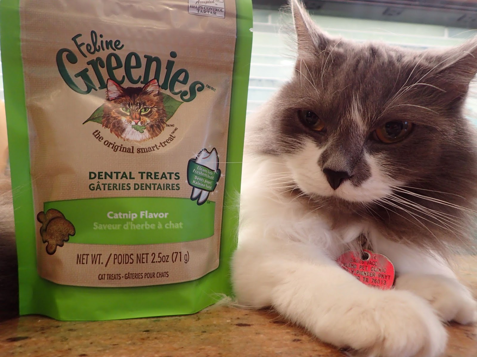 Lone Star Cats Greenies Catnip Dental Treats from Chewy!