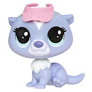 Littlest Pet Shop Singles Indigo Otterson (#177) Pet