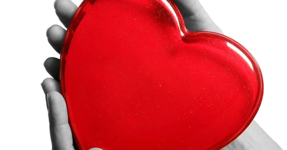 О доброте. Сердце сток. Приучать сердце. Приучать сердце. Сердце в ладонях.