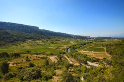 Les vignerons de Tautavel Vingrau