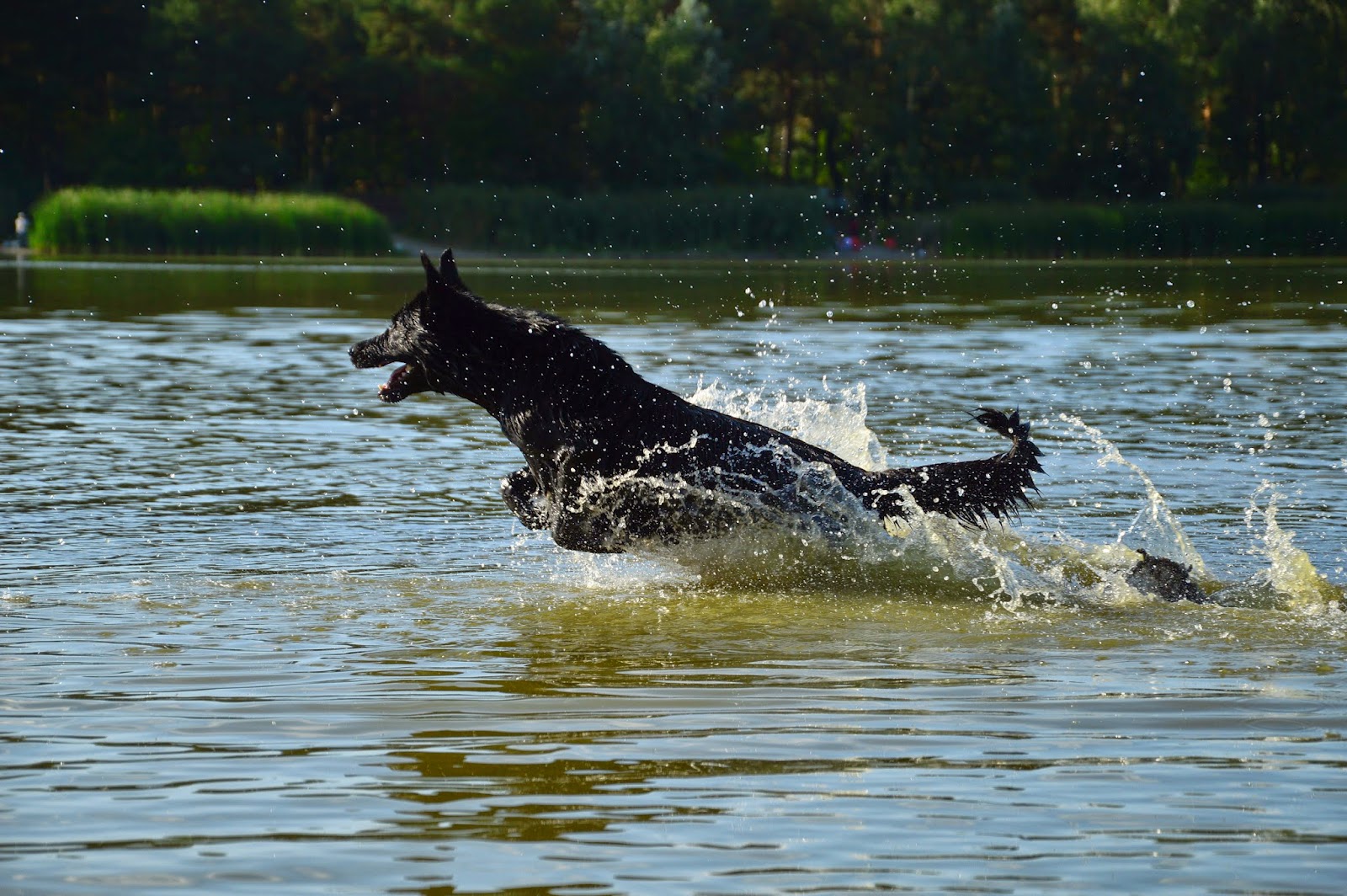 DSC_0272.JPG