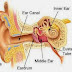 Obat Gangguan Pendengaran Yang Alami Aman dan Tanpa Efek Samping