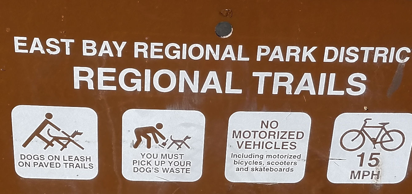 Official Quiet Warrior Racing Blog EBike Recreation Faces Confusing