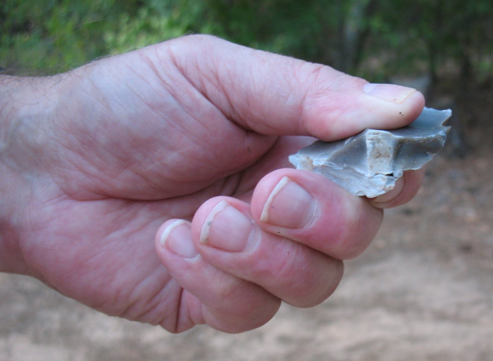 Sensible Survival: Making a Fire with Flint and Steel