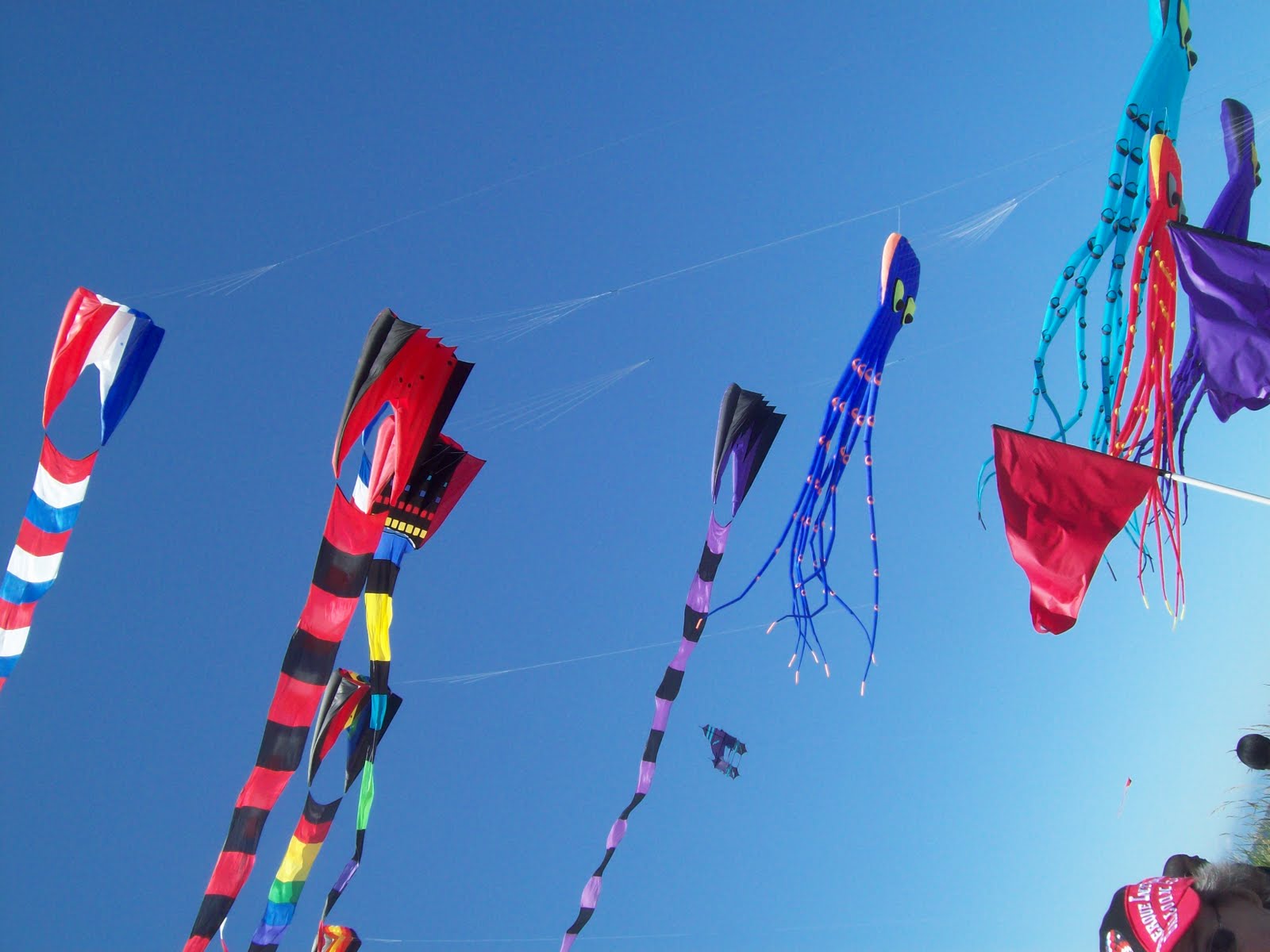 As Time Goes By: Lincoln City Kite Festival