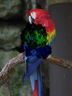Photo Overlay; Mode Subtract Photo Overlay; Mode Subtract