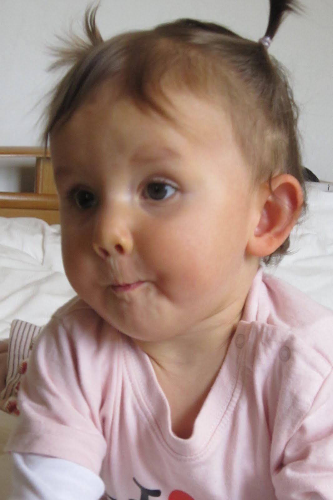 Petit Pimousse deviendra grand ! Bizzard vous avez dit bizzard.