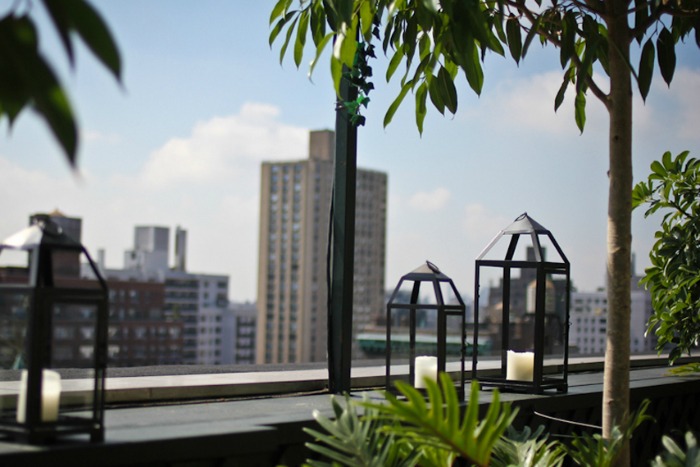 Jardines en los tejados de Manhattan (Nueva York) - Guia de jardin