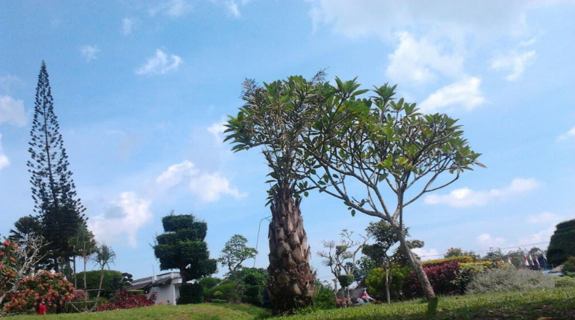 Wisata Taman Galxy Kebun Binatang Mini Di Jember Tempat Wisata Taman Galxy Kebun Binatang Mini Di Jember Tempat