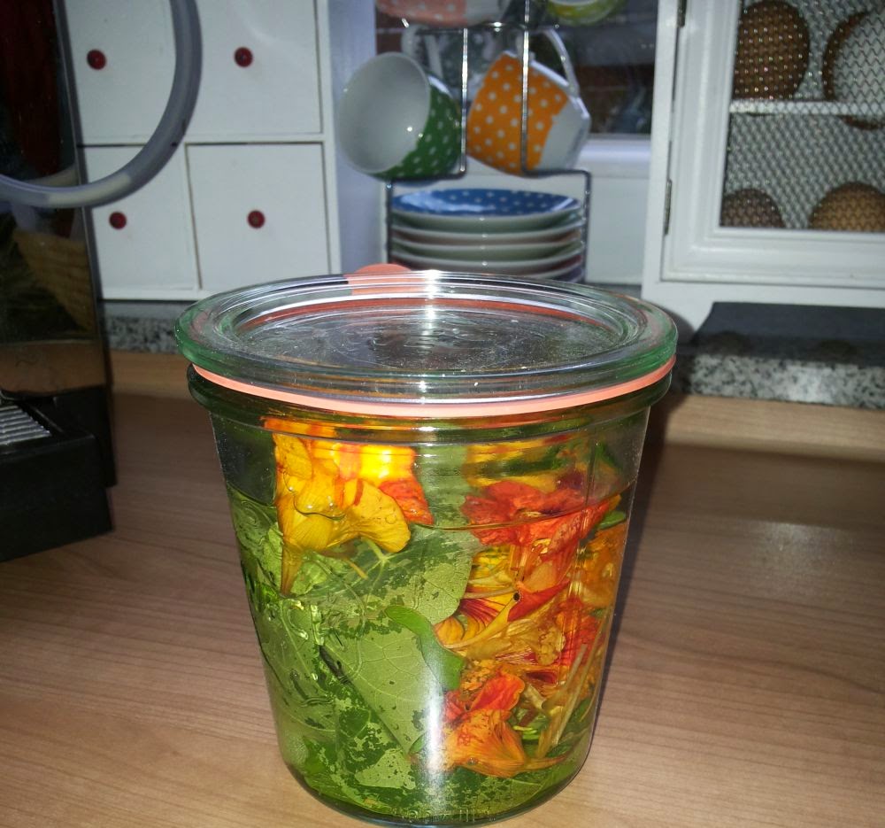32+ Kapuzinerkresse Rezepte Tinktur, Eine tinktur aus kapuzinerkresse