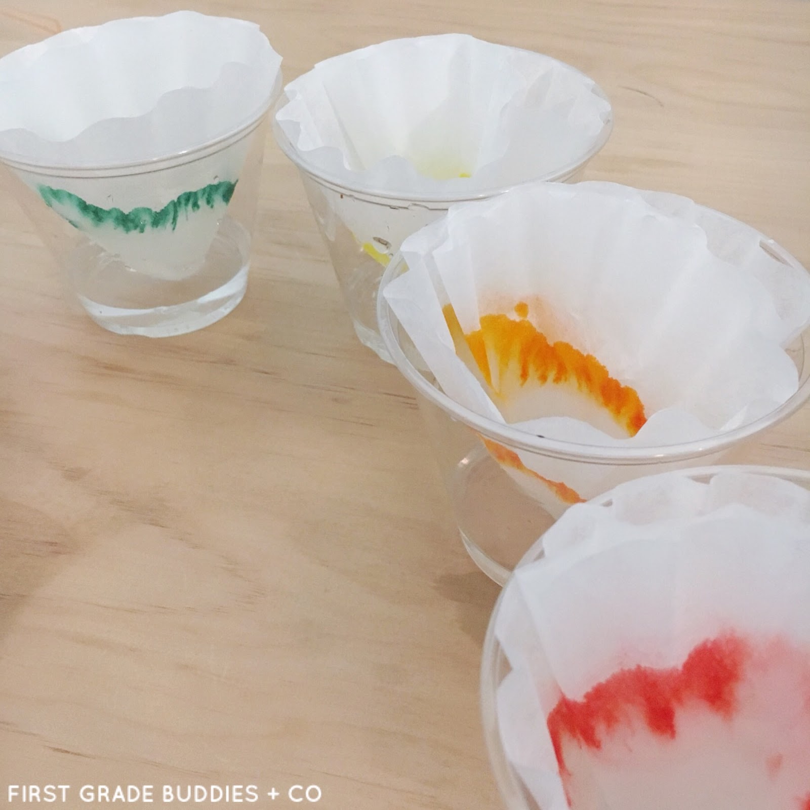 Simple Science Rainbow Coffee Filters First Grade Buddies