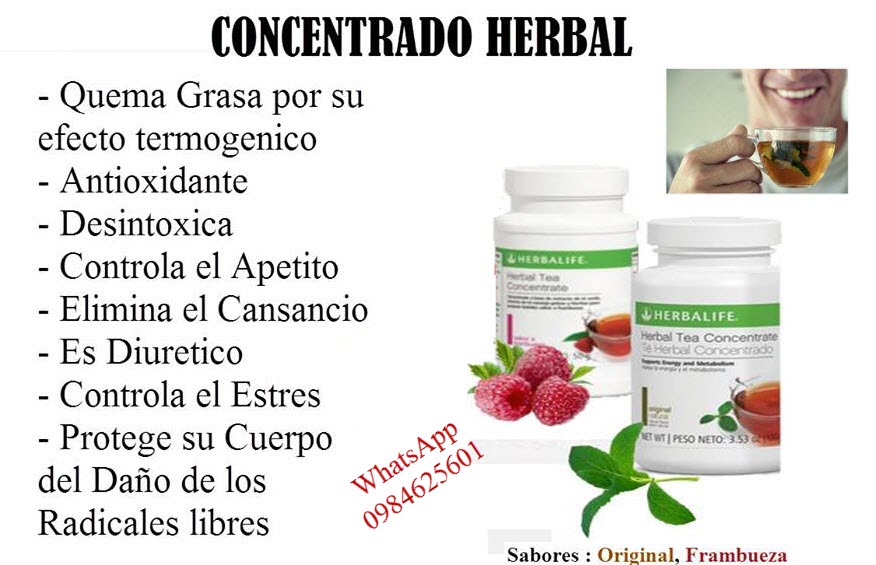 TE CONCENTRADO HERBALIFE