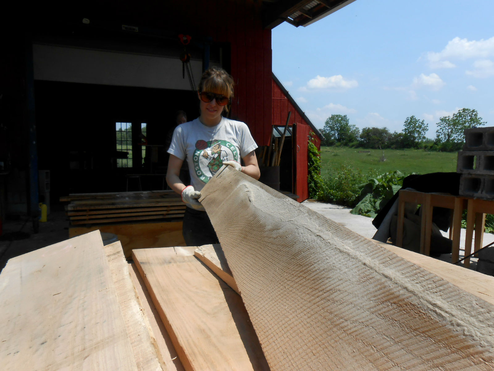 Chronicles of a Woodworking Apprentice Powderpost Beetles