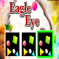 Eagle Eye