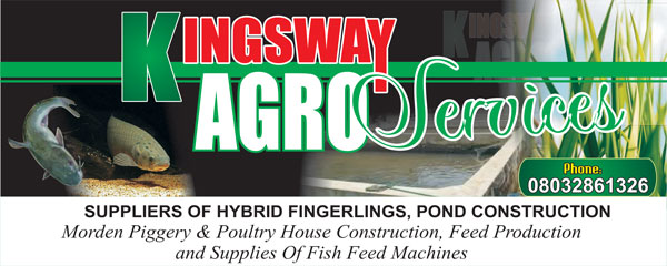 KINGSWAY AGRO SERVICES