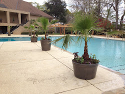 pool plants pots plant pot well annual golf course farm added hollytree maintenance country club hughes mix thanks trip