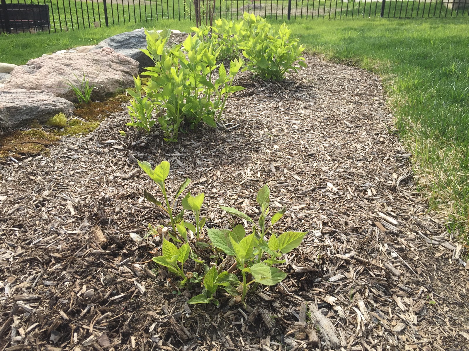 Glen Ellyn Landscape Design Photos Of Beautiful Gardens Stone