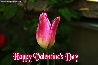 happy valentine day images for tumblr happy valentine day images for whatsapp