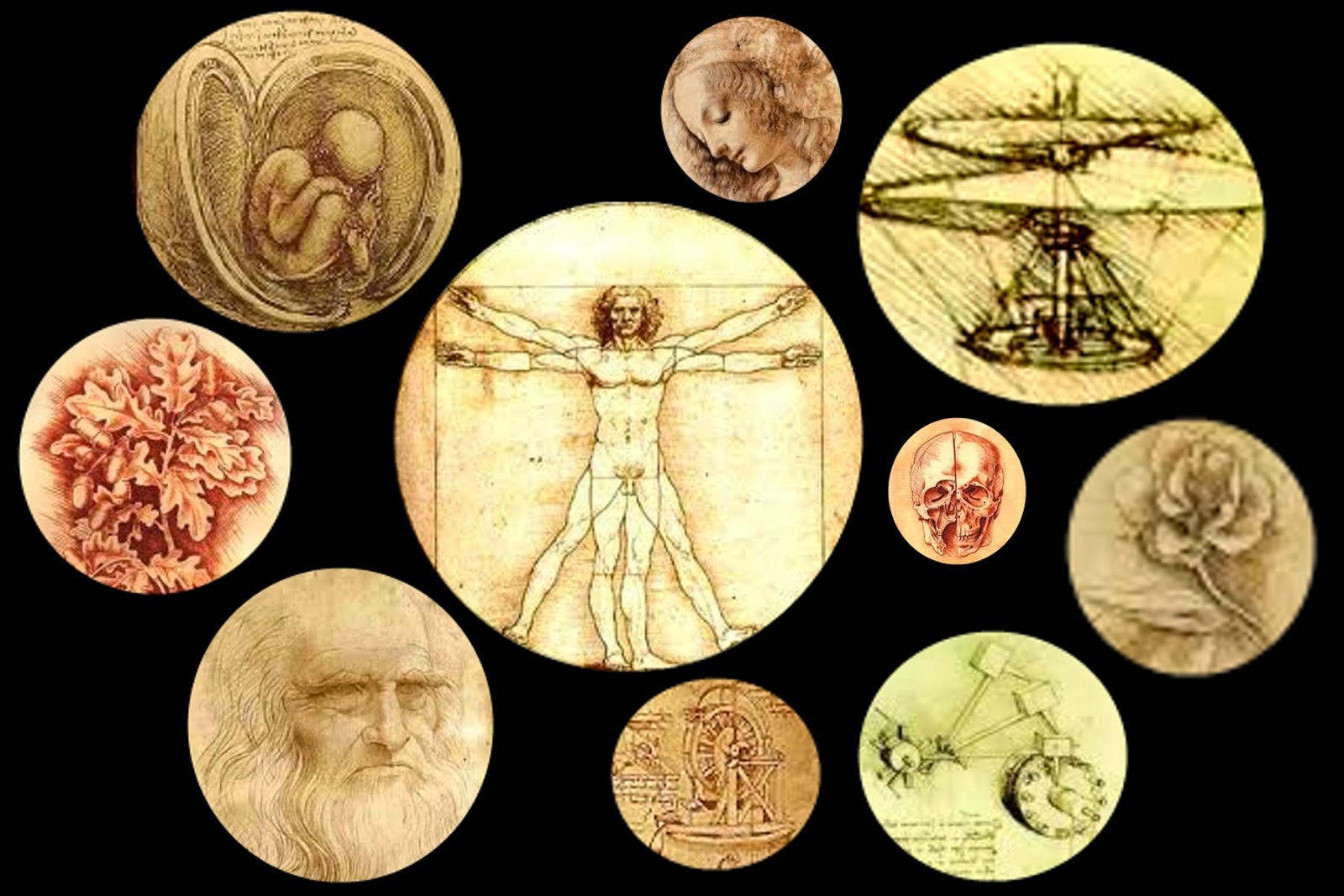 Varios grabados de Leonardo da Vinci. Montaje ©Selene Garrido Guil