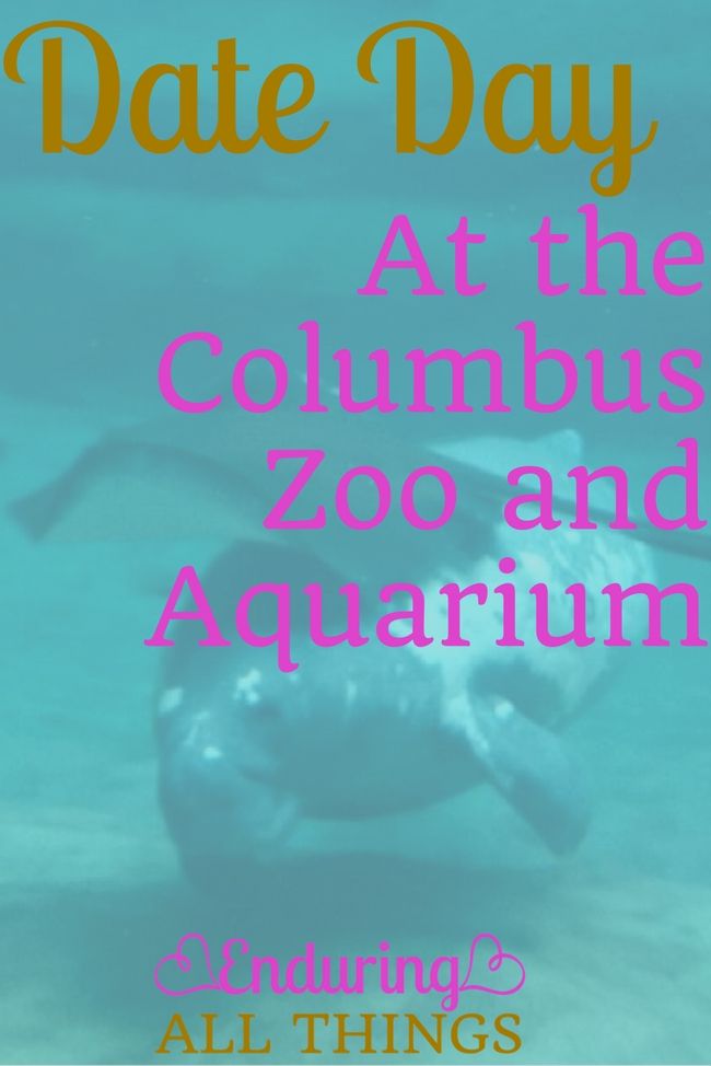 Columbus Zoo Enduring All Things