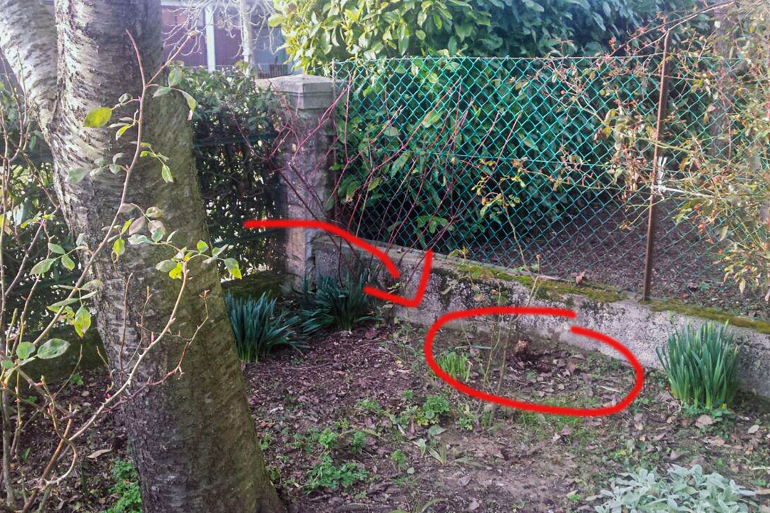 🌳 Come si installano i pali appendiabiti in giardino?