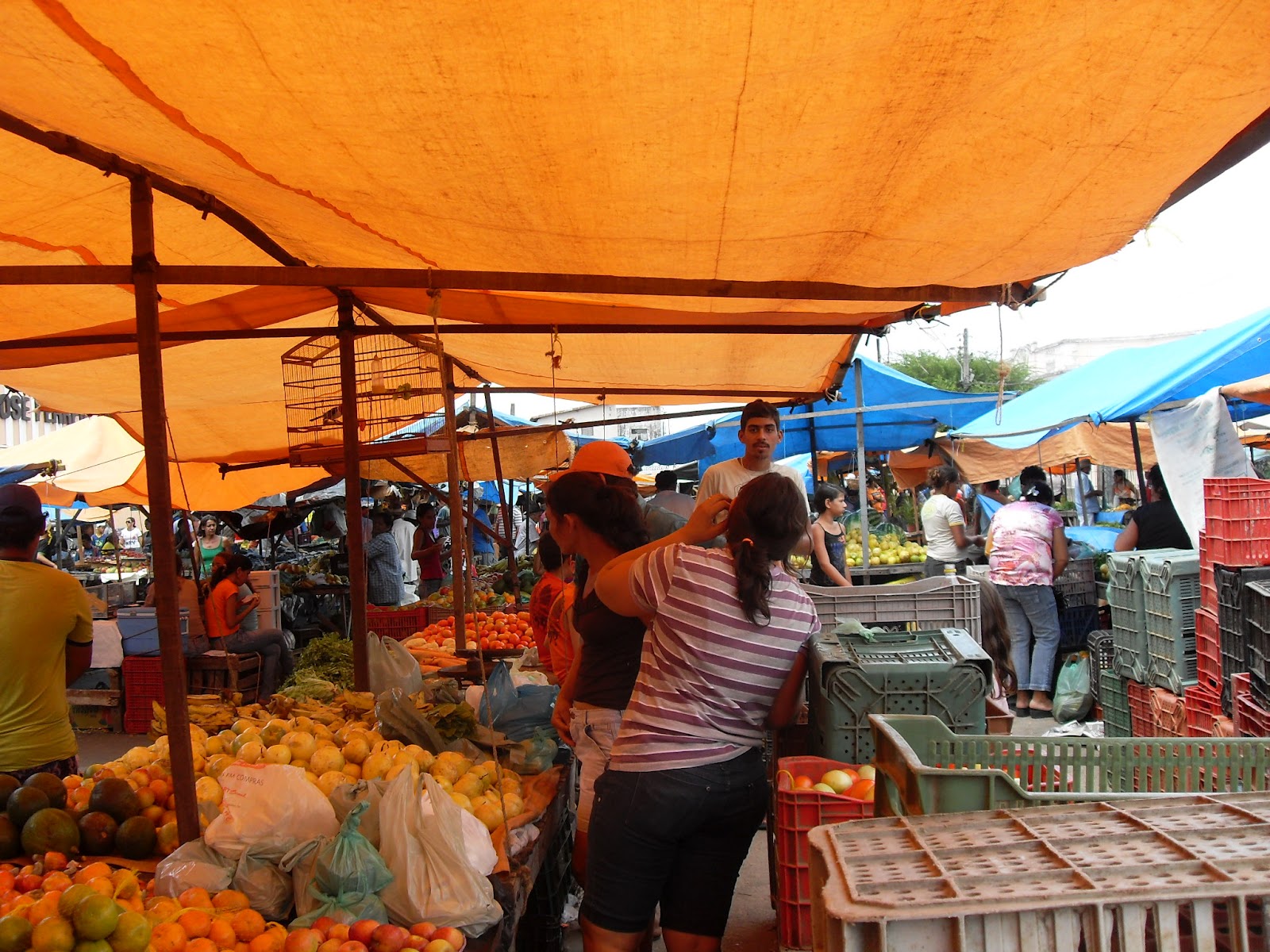 Coronel Ezequiel Notícias Feira livre de Santa Cruz antecipada em