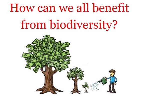 -%2Bbenefit%2Bfrom%2BAmazon%2BBiodiversity.jpg