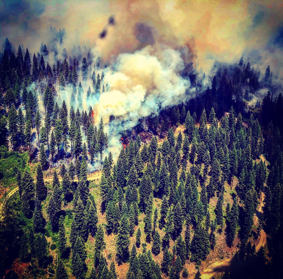 Idaho Fire Information Lodgepole Fire on the Boise National Forest