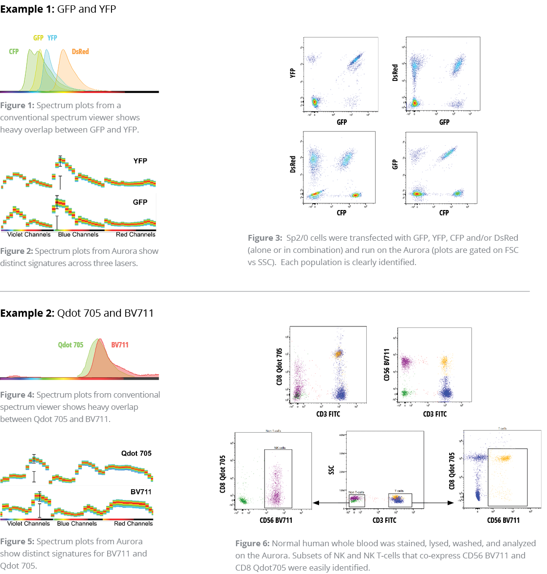 Innovations in Multiparametric Flow Cytometry