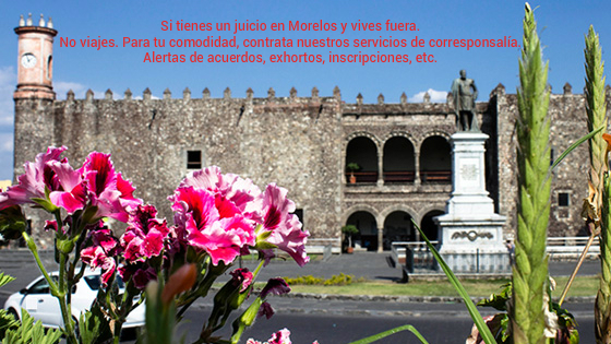 servicios juridicos en Morelos palacio de cortes morelos y corresponsalia
