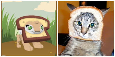 A comparison between the Bread Hat and the cat breading meme. 