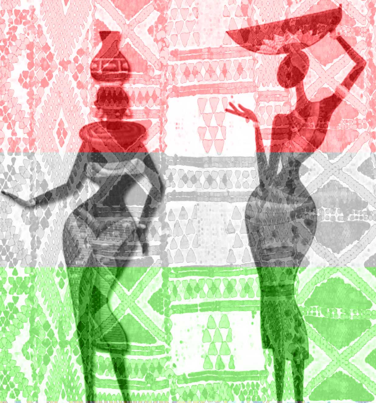 Red, Black and Green, Every Race Has a Flag but the Coon