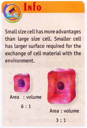 Biology Science Structure Of Cell Components - New Science Biology