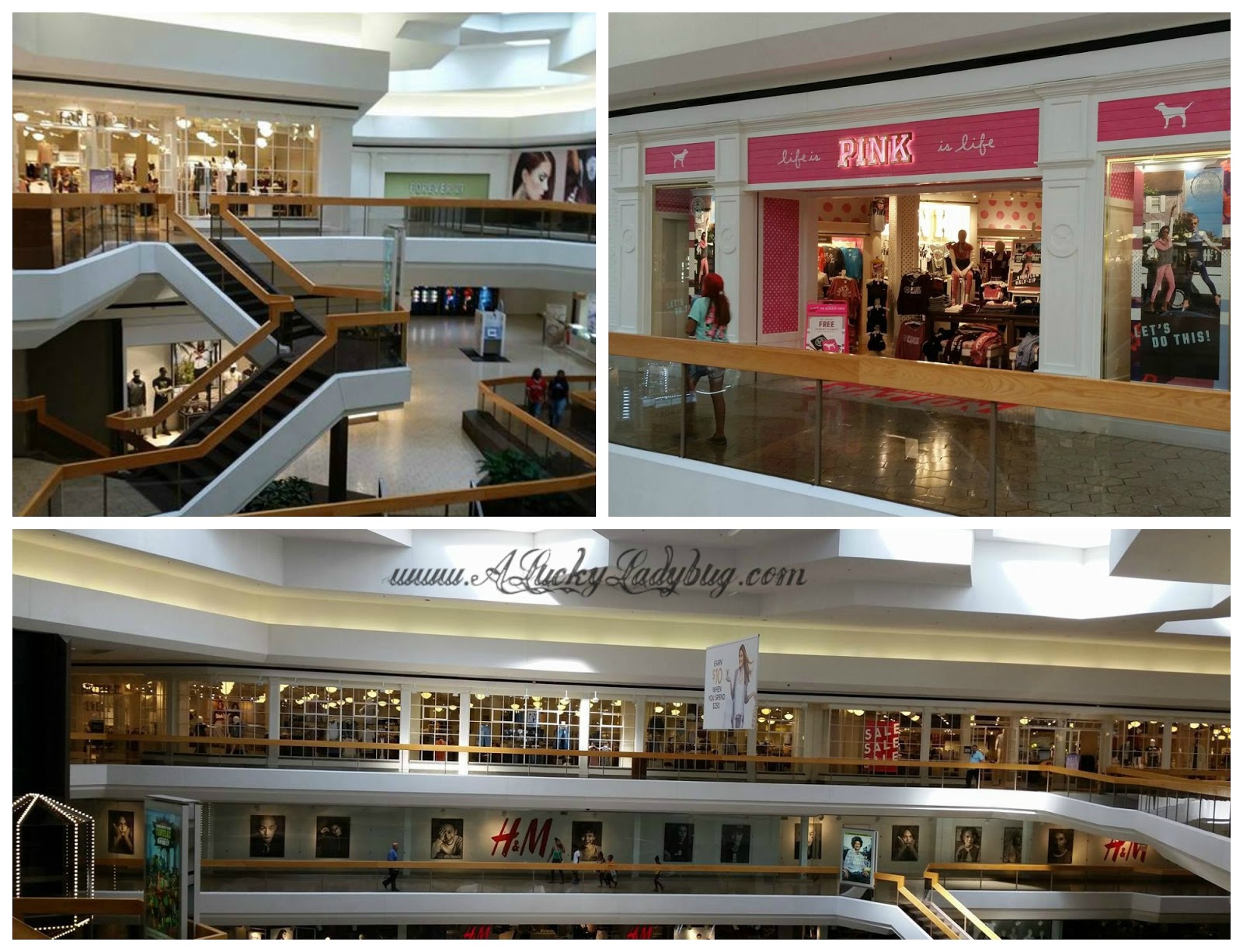 A Lucky Ladybug BacktoSchool Shopping at Fairlane Town Center Mall 