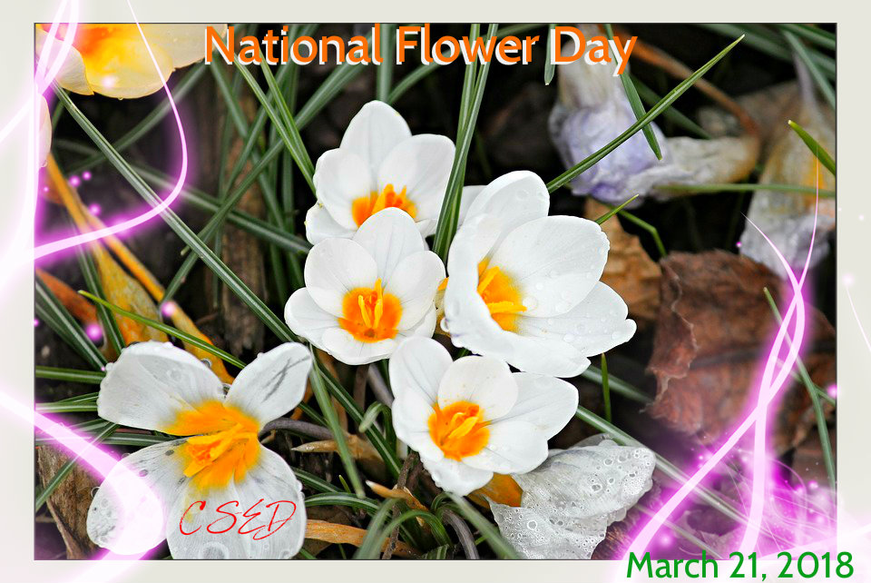 Crazy Days To Celebrate March 21, 2018