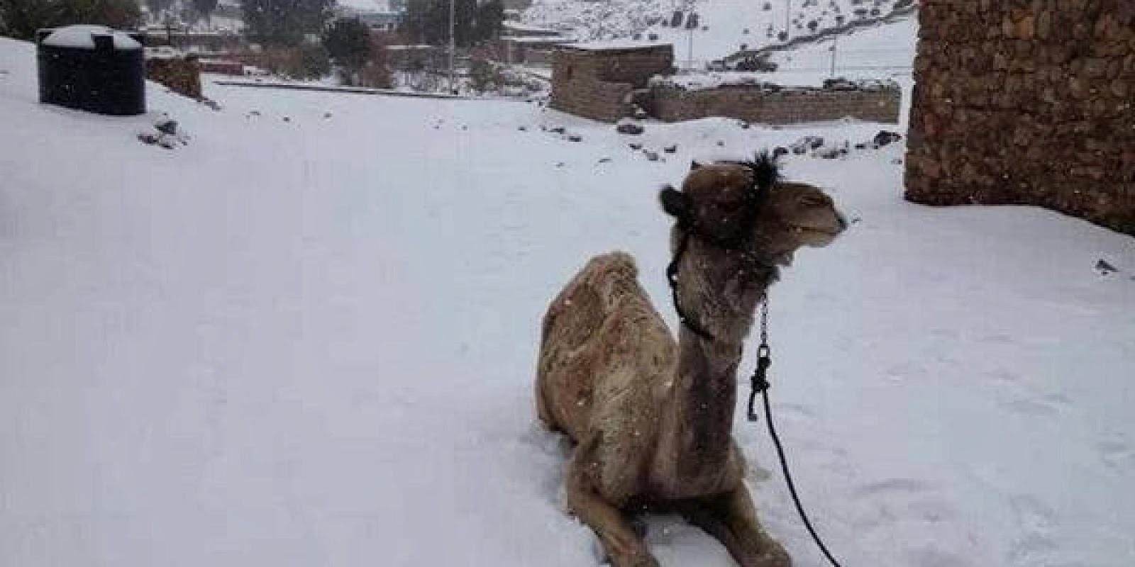 Snow Falls In Cairo For The First Time In More Than 100 Years