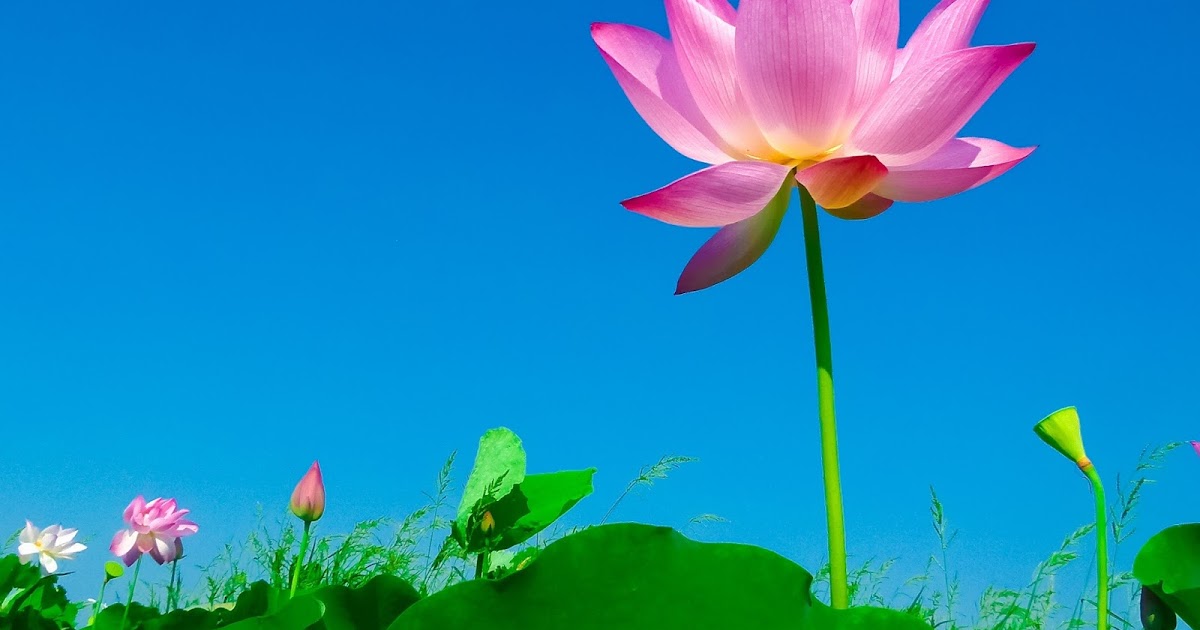 Graceful Resilience to Graceful Resilience!