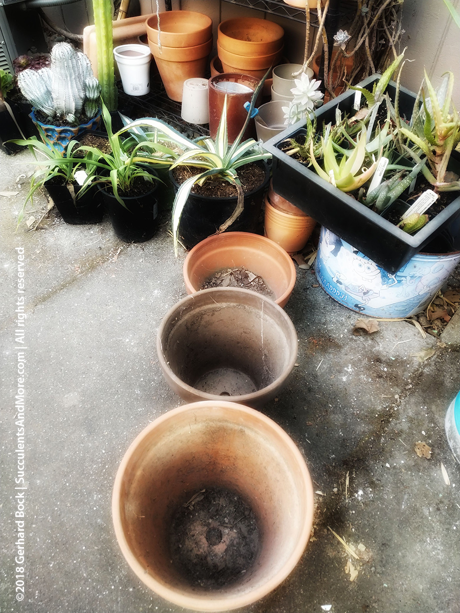 Empty pots make me anxious