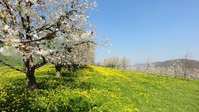 Auf dem Weg Richtung Lenzhof Auf dem Weg Richtung Lenzhof