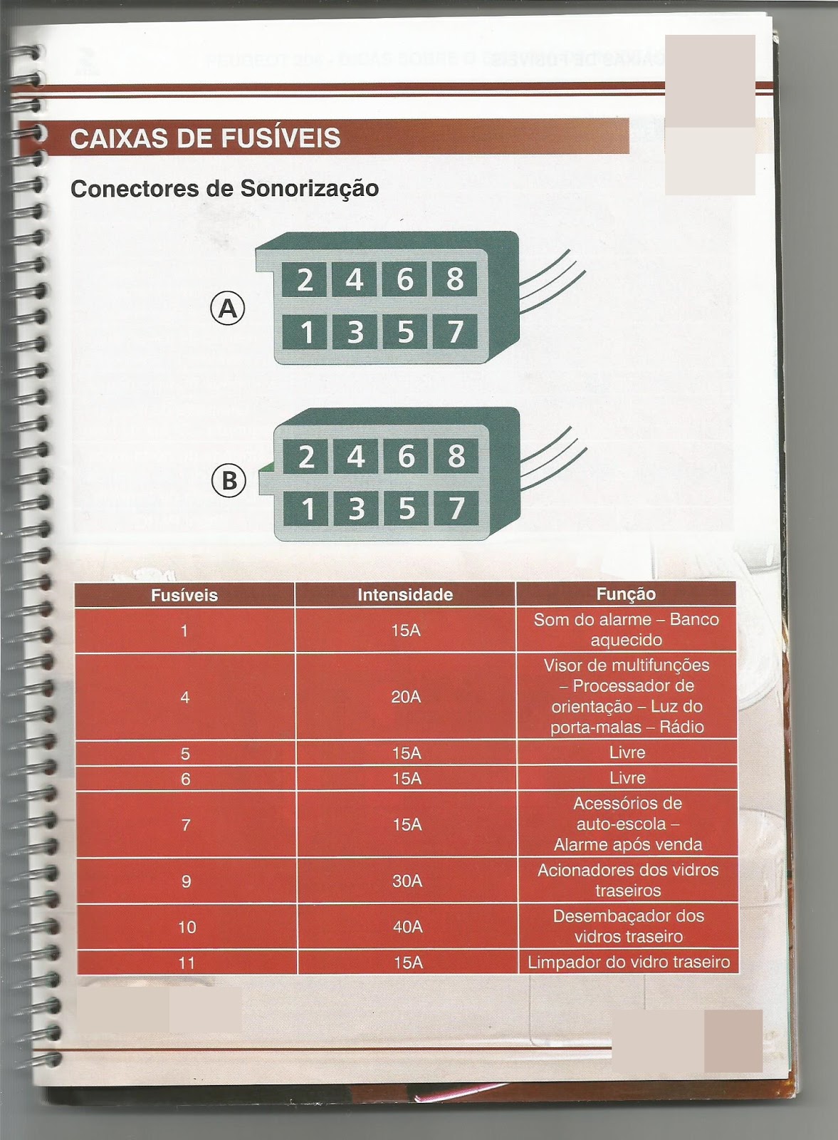** Epaul 206: Caixa de fusíveis do Peugeot 206 sistema de sonorização.