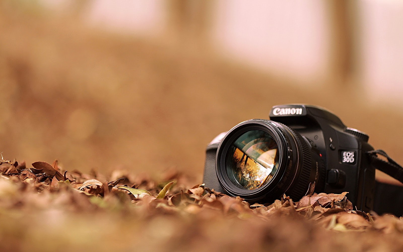 Cara Seting Kamera DSLR Agar Hasil Tajam Cara Seting Kamera DSLR Agar Hasil Tajam