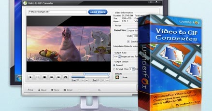 wonderfox video to gif converter 1.1 crack wonderfox video to gif converter 1.1 crack