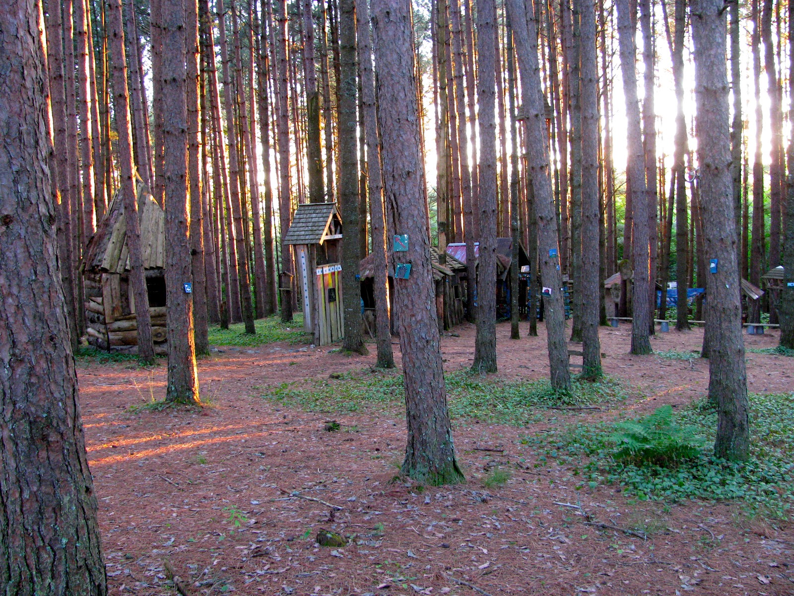 midden Bread and Puppet Apprenticeship Part 3 The Everything and