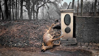 incendio portugal