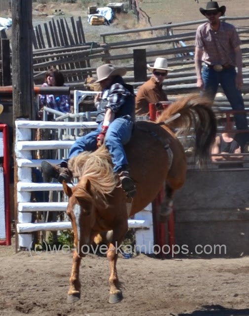 The horse is bucking hard to shake off the rider