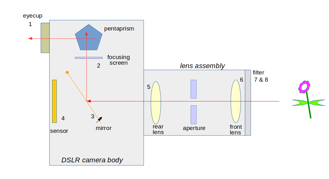 Captain Bodgit DSLR optical path where is that spec of dust?