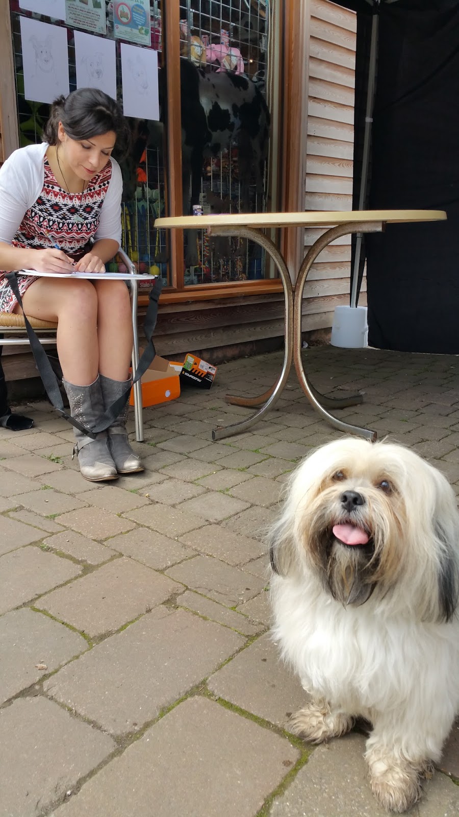 Doggie Fashions The Trentham Estate Staffordshire Paws across Britain