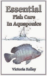 Essential Fish Care In Aquaponics